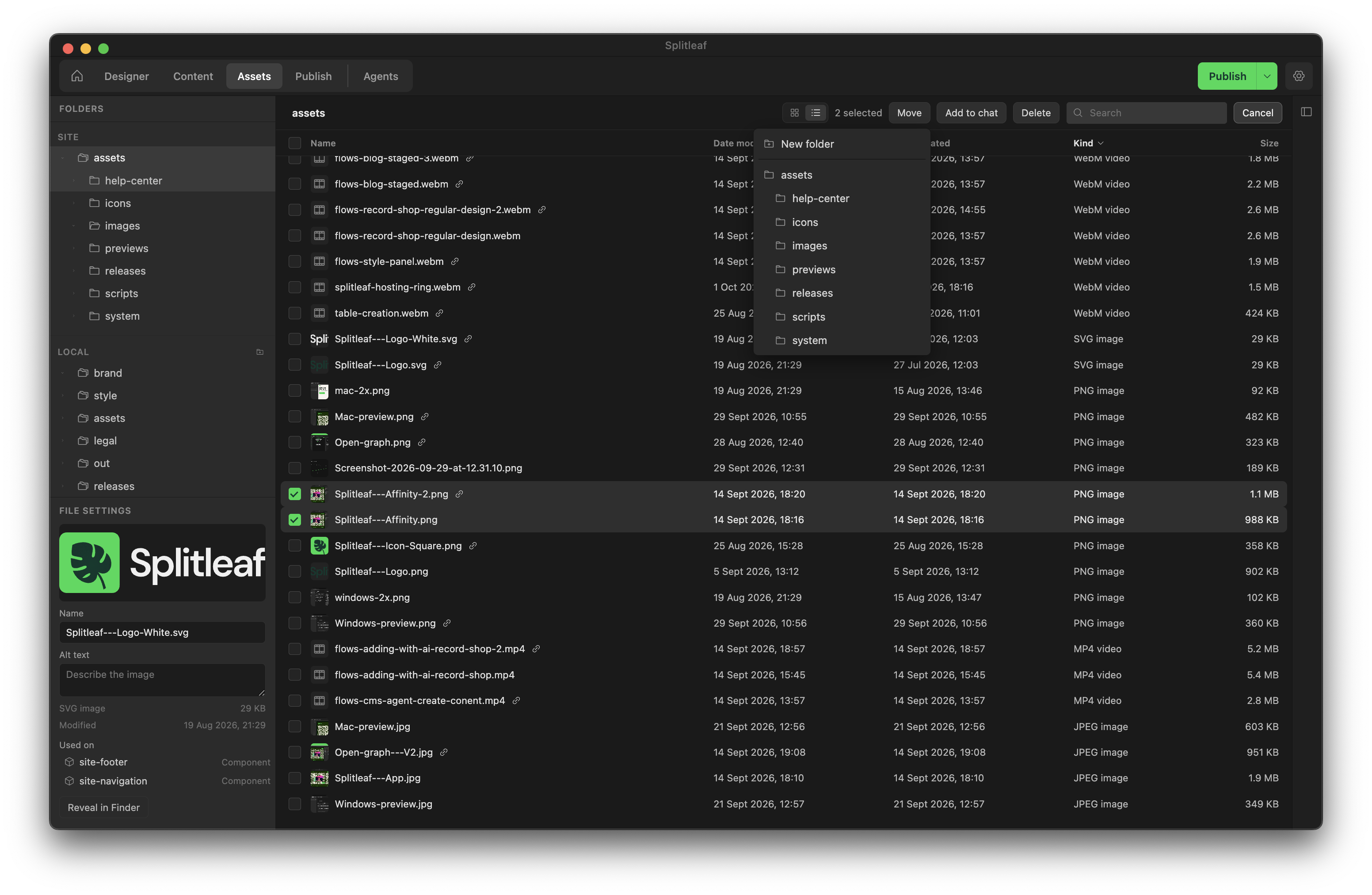 Assets list view with two files selected and the Move menu open, showing the site folders