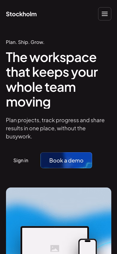 The SaaS landing page seed on a phone